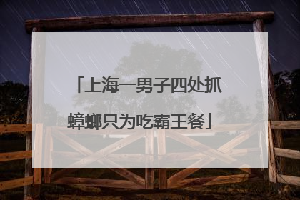 上海一男子四处抓蟑螂只为吃霸王餐