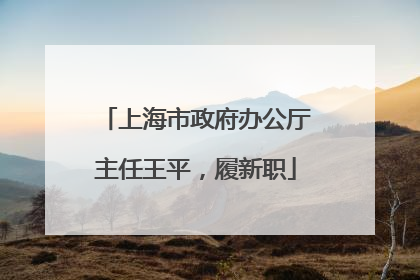 上海市政府办公厅主任王平，履新职