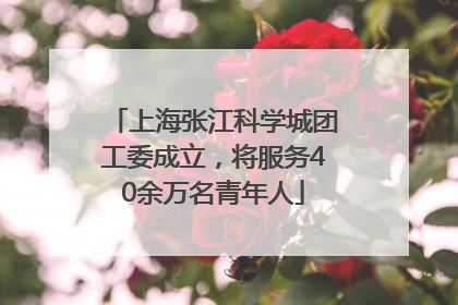 上海张江科学城团工委成立，将服务40余万名青年人