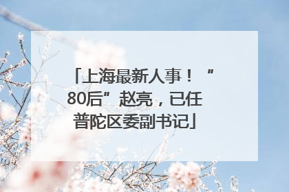上海最新人事！“80后”赵亮，已任普陀区委副书记