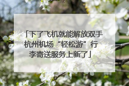 下了飞机就能解放双手 杭州机场“轻松游”行李寄送服务上新了