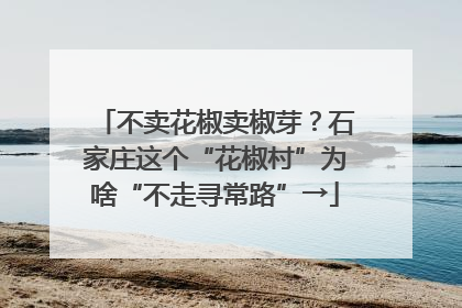 不卖花椒卖椒芽？石家庄这个“花椒村”为啥“不走寻常路”→