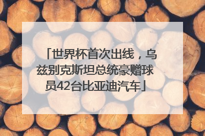世界杯首次出线，乌兹别克斯坦总统豪赠球员42台比亚迪汽车