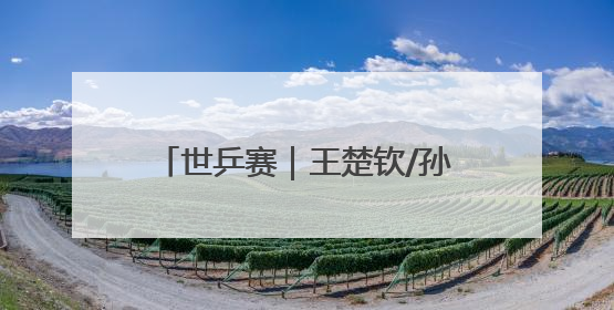 世乒赛｜王楚钦/孙颖莎晋级混双决赛