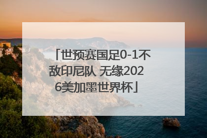 世预赛国足0-1不敌印尼队 无缘2026美加墨世界杯