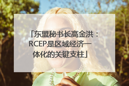 东盟秘书长高金洪：RCEP是区域经济一体化的关键支柱