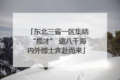 东北三省一区集结“揽才” 逾八千海内外博士奔赴而来