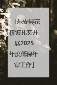 东安县花桥镇扎实开展2025年度低保年审工作