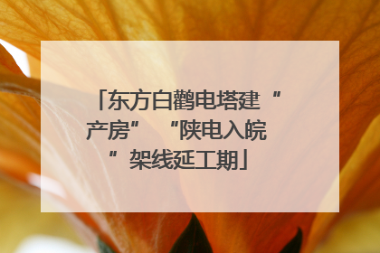 东方白鹳电塔建“产房” “陕电入皖”架线延工期