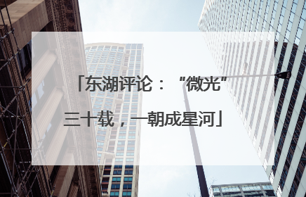 东湖评论：“微光”三十载，一朝成星河