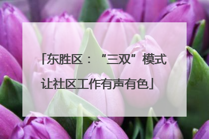 东胜区：“三双”模式让社区工作有声有色