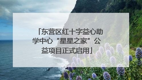 东营区红十字益心助学中心“星星之家”公益项目正式启用