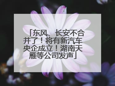 东风、长安不合并了！将有新汽车央企成立！湖南天雁等公司发声