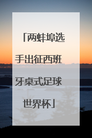 两蚌埠选手出征西班牙桌式足球世界杯