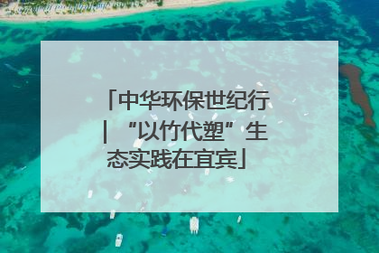 中华环保世纪行｜“以竹代塑”生态实践在宜宾