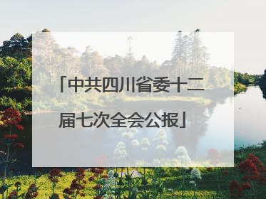 中共四川省委十二届七次全会公报