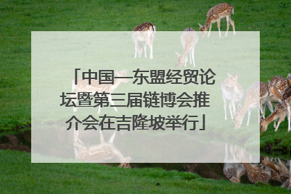 中国—东盟经贸论坛暨第三届链博会推介会在吉隆坡举行