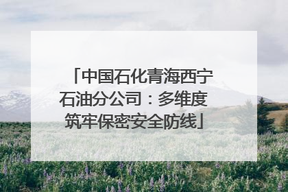中国石化青海西宁石油分公司：多维度筑牢保密安全防线