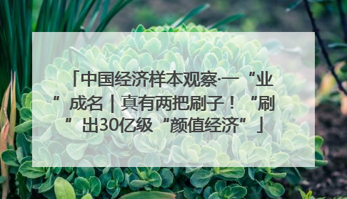中国经济样本观察·一“业”成名｜真有两把刷子！“刷”出30亿级“颜值经济”