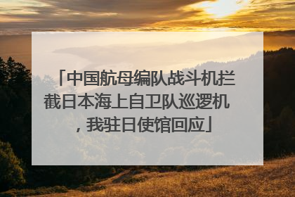 中国航母编队战斗机拦截日本海上自卫队巡逻机，我驻日使馆回应