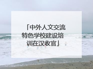 中外人文交流特色学校建设培训在汉收官