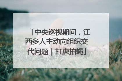 中央巡视期间，江西多人主动向组织交代问题｜打虎拍蝇