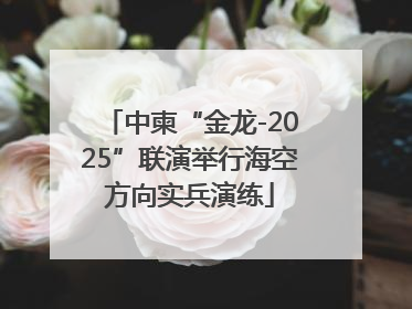 中柬“金龙-2025”联演举行海空方向实兵演练