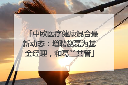 中欧医疗健康混合最新动态：增聘赵磊为基金经理，和葛兰共管