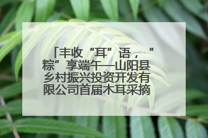 丰收“耳”语，“粽”享端午—山阳县乡村振兴投资开发有限公司首届木耳采摘活动盛大启幕