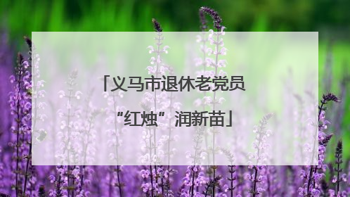 义马市退休老党员“红烛”润新苗