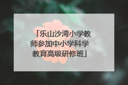 乐山沙湾小学教师参加中小学科学教育高级研修班