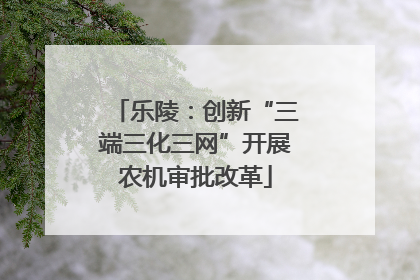 乐陵：创新“三端三化三网”开展农机审批改革