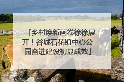 乡村焕新画卷徐徐展开！谷城石花镇中心公园奋进建设初显成效