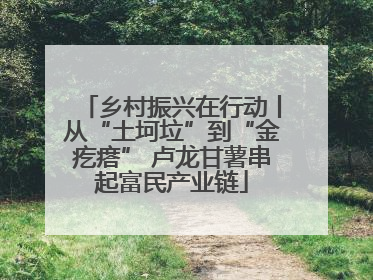 乡村振兴在行动丨从“土坷垃”到“金疙瘩” 卢龙甘薯串起富民产业链