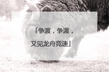 争渡，争渡，又见龙舟竞速