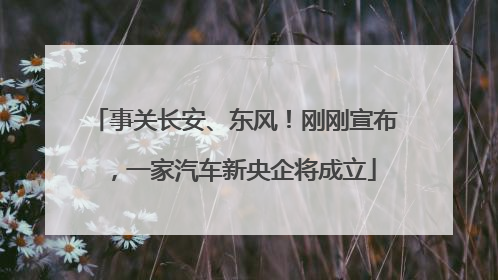事关长安、东风！刚刚宣布，一家汽车新央企将成立