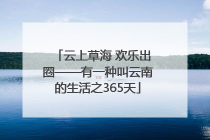 云上草海 欢乐出圈——有一种叫云南的生活之365天