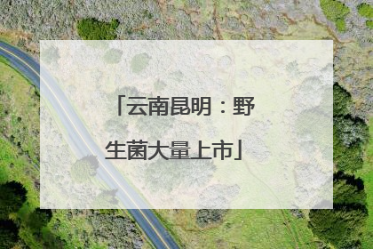 云南昆明：野生菌大量上市