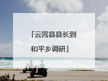 云霄县县长到和平乡调研