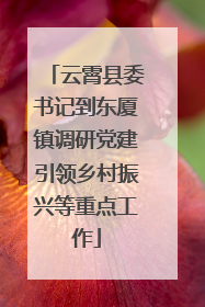 云霄县委书记到东厦镇调研党建引领乡村振兴等重点工作
