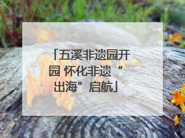 五溪非遗园开园 怀化非遗“出海”启航