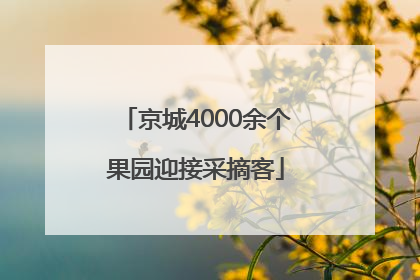 京城4000余个果园迎接采摘客