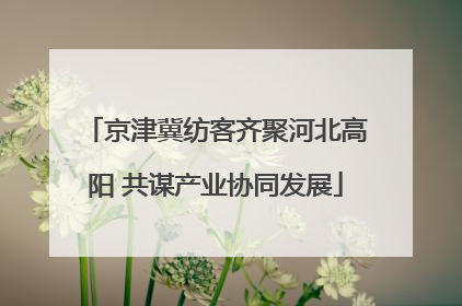 京津冀纺客齐聚河北高阳 共谋产业协同发展
