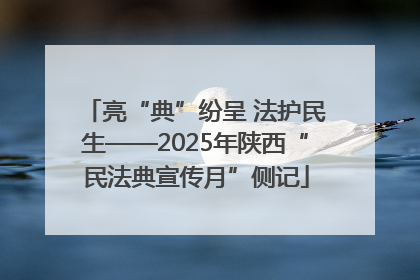 亮“典”纷呈 法护民生——2025年陕西“民法典宣传月”侧记