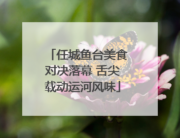 任城鱼台美食对决落幕 舌尖载动运河风味