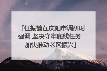任振鹤在庆阳市调研时强调 坚决守牢底线任务 加快推动老区振兴