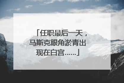 任职最后一天，马斯克眼角淤青出现在白宫……