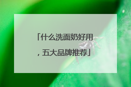 什么洗面奶好用，五大品牌推荐