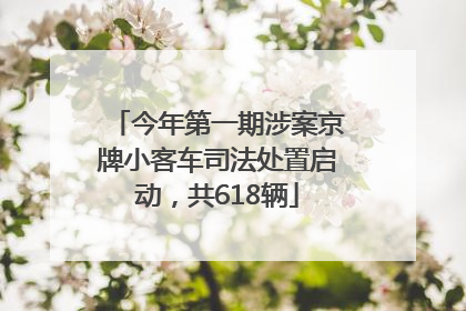 今年第一期涉案京牌小客车司法处置启动，共618辆