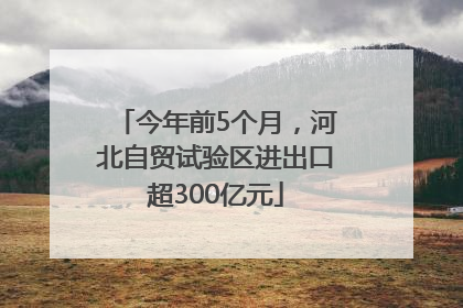 今年前5个月，河北自贸试验区进出口超300亿元
